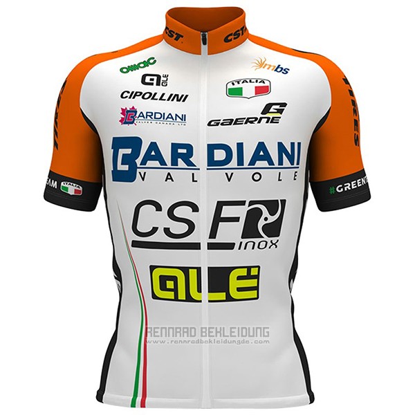 2017 Fahrradbekleidung Bardiani Csf Wei und Grun Trikot Kurzarm und Tragerhose - zum Schließen ins Bild klicken